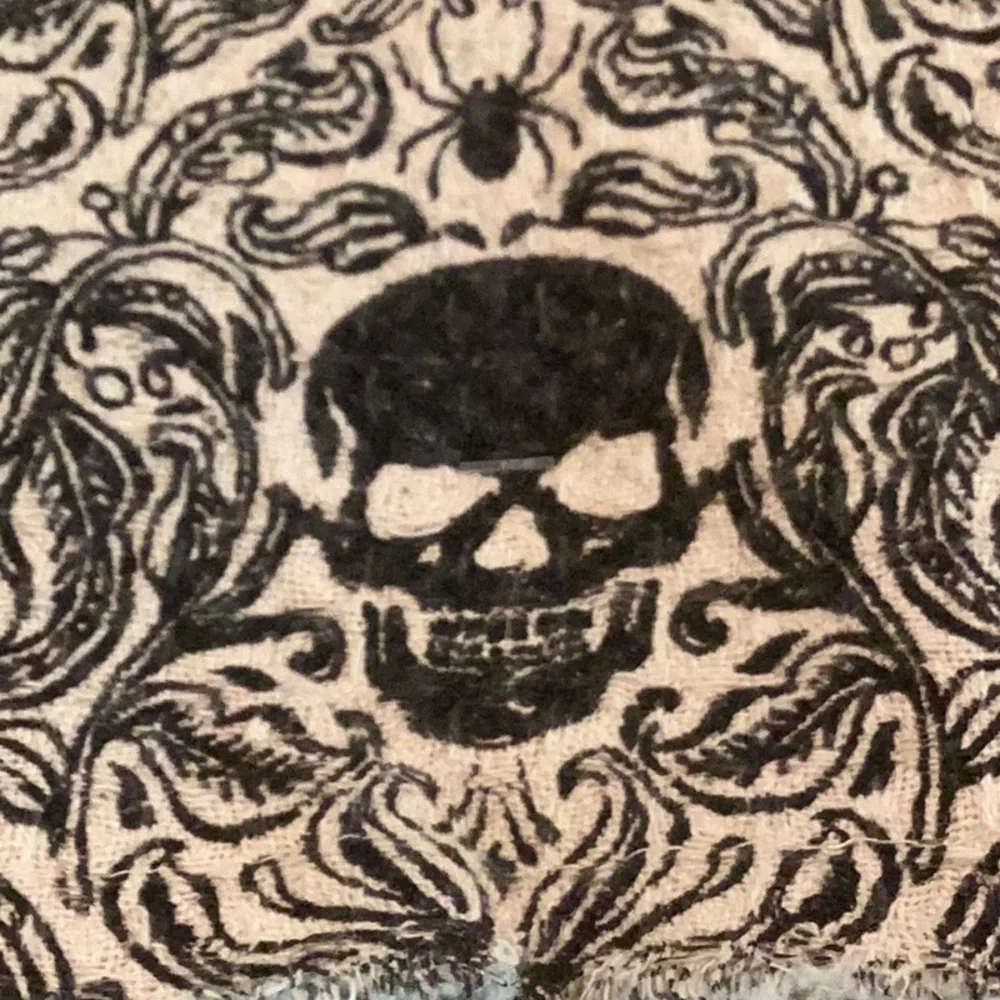 Rachel Zoe Halloween Kitchen Towels - Set Of 3